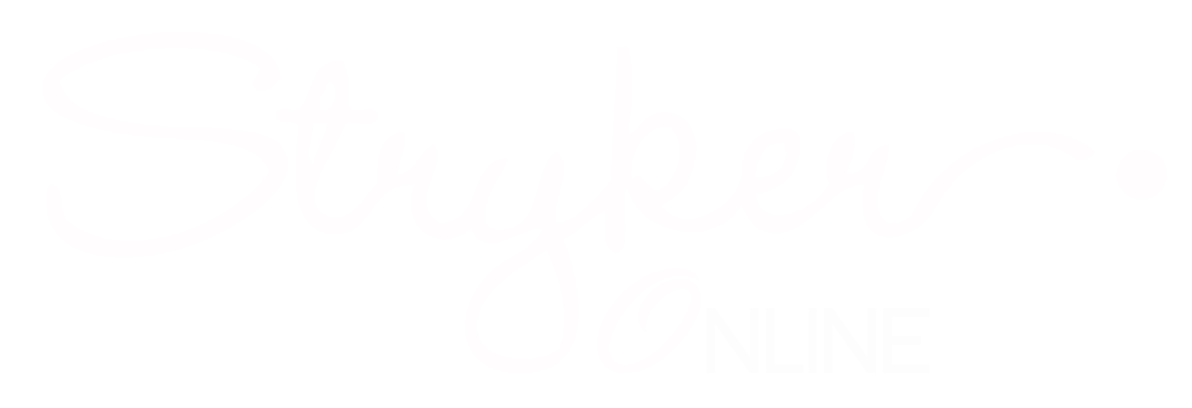Stryker Online Marketing